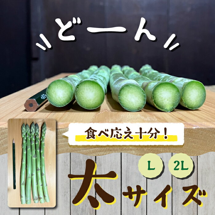 【ふるさと納税】【先行受付2026年発送】農家直送！新鮮！夏獲れ太（L～2L）アスパラ｜のららぼ農園 ※2026年7月上旬～9月中旬発送予定 - 画像3