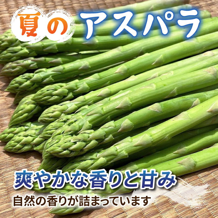 【ふるさと納税】【先行受付2026年発送】農家直送！新鮮！夏獲れ細（M～L）アスパラ約1.2kg（およそ40～60本）｜のららぼ農園 ※2026年7月上旬～9月中旬発送予定 - 画像2