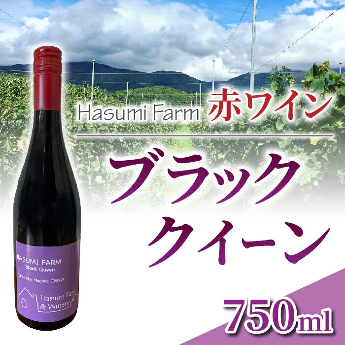 【ふるさと納税】【のらのらふぁーむ】赤ワイン「ブラッククイーン」 サムネイル2