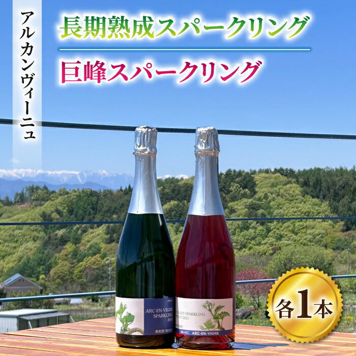 【アルカンヴィーニュ】長期熟成スパークリング＆巨峰スパークリングワイン2本セット　辛口 お酒 ギフト プレゼント 果実酒 瓶 国産 信州 長野県東御市