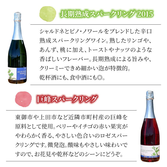 【ふるさと納税】【アルカンヴィーニュ】長期熟成スパークリング＆巨峰スパークリングワイン2本セット　辛口 お酒 ギフト プレゼント 果実酒 瓶 国産 信州 長野県東御市 サムネイル2