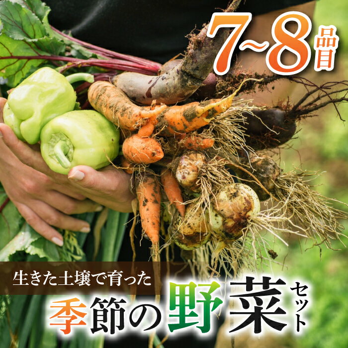 【先行受付2026年発送】長野県東御市産生きた土壌で育った『季節の野菜セット』（7～8品目）｜里山JAPAN　※2026年7月から発送開始