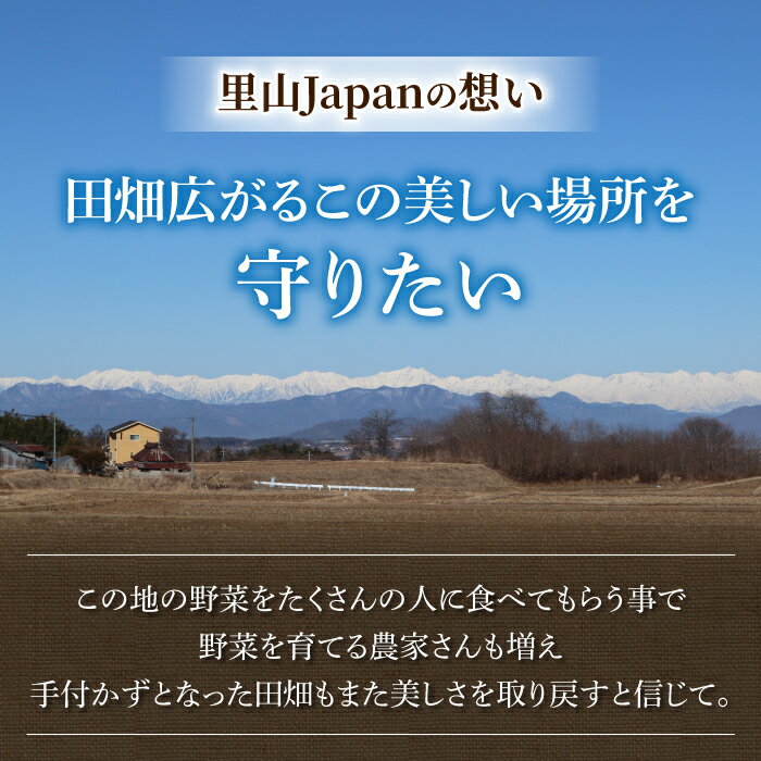 【ふるさと納税】【先行受付2026年発送】生でもすごく甘い！生きた土壌で育った『とうもろこし』｜里山JAPAN　※2026年7月中旬以降発送予定 - 画像3