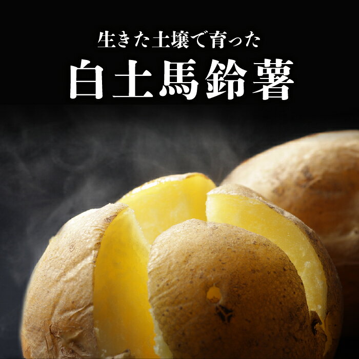 【先行受付2026年発送】長野県産新じゃがいも 生きた土壌で育った『白土馬鈴薯』｜里山JAPAN　※2026年8月上旬以降発送予定