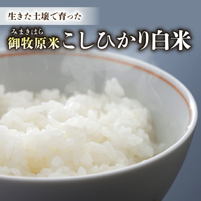 【先行受付2026年発送】長野県産！生きた土壌で育った御牧原米こしひかり 白米（八分づき・令和8年産）｜里山JAPAN　※2026年10月上旬以降に発送予定