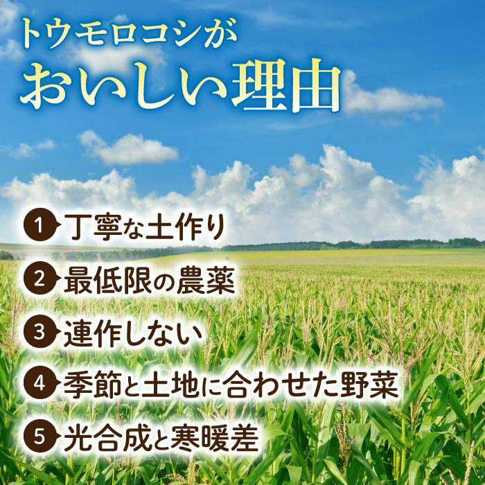 【ふるさと納税】【先行受付2026年発送】生でもすごく甘い！生きた土壌で育った『とうもろこし』｜里山JAPAN　※2026年7月中旬以降発送予定 - 画像2