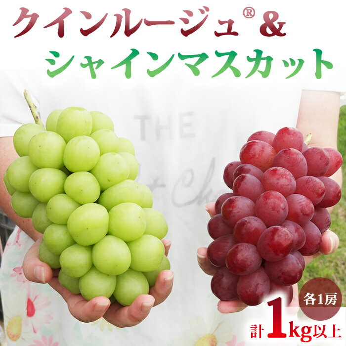 先行受付2026年発送【土屋農園】農家直送！クイーンルージュ(R)とシャインマスカットのセット1kg以上（各1房）※2026年9月下旬～10月中旬順次発送
