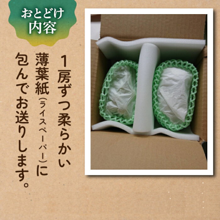 【ふるさと納税】先行受付2026年発送【土屋農園】農家直送！シャインマスカット2房（約1.2kg）※2026年9月下旬～10月中旬順次発送 サムネイル2