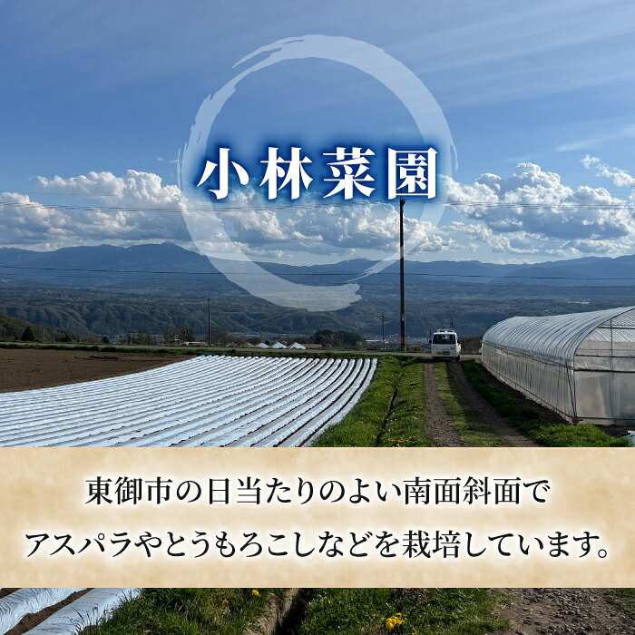 【ふるさと納税】【先行受付2026年発送】農家直送！とうもろこし（ゴールドラッシュ）6本｜小林菜園 ※2026年8月上旬以降発送予定 - 画像2