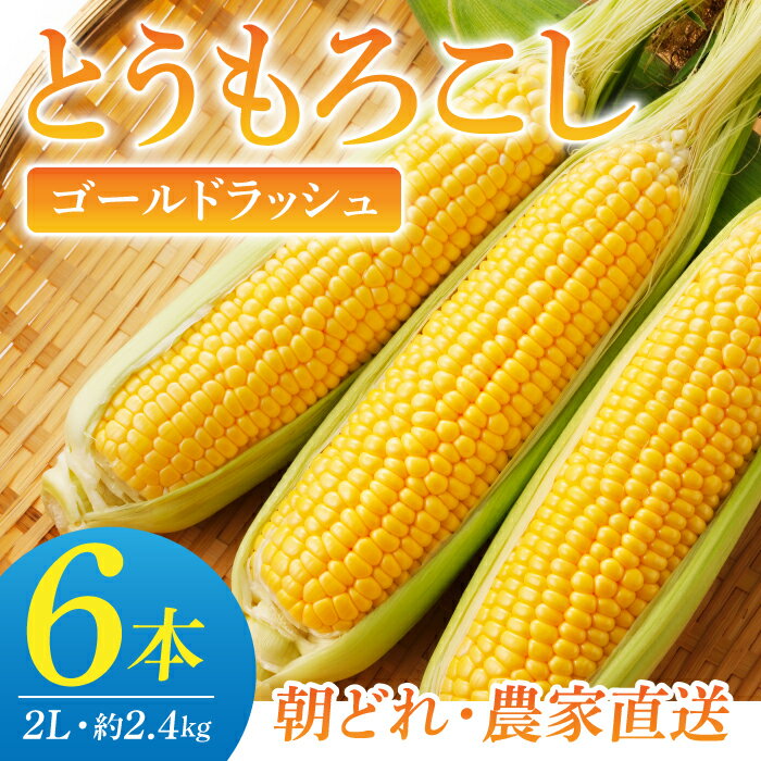 【先行受付2026年発送】農家直送！とうもろこし（ゴールドラッシュ）6本｜小林菜園 ※2026年8月上旬以降発送予定