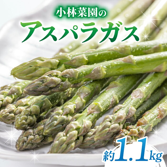 先行受付2026年発送【小林菜園】農家直送！アスパラガス1.1kg（L～3Lサイズ）｜※2026年4月上旬以降発送