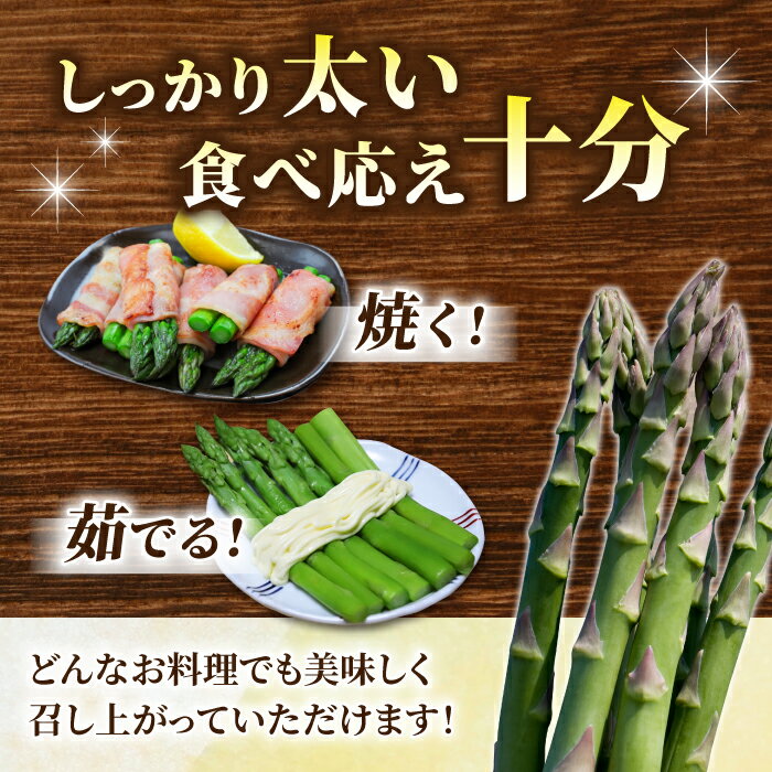 【ふるさと納税】先行受付2026年発送【小林菜園】農家直送！アスパラガス1.1kg（L～3Lサイズ）｜※2026年4月上旬以降発送 - 画像2