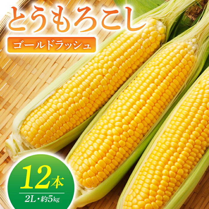 【先行受付2026年発送】農家直送！とうもろこし（ゴールドラッシュ）12本｜小林菜園 ※2026年8月上旬以降発送予定