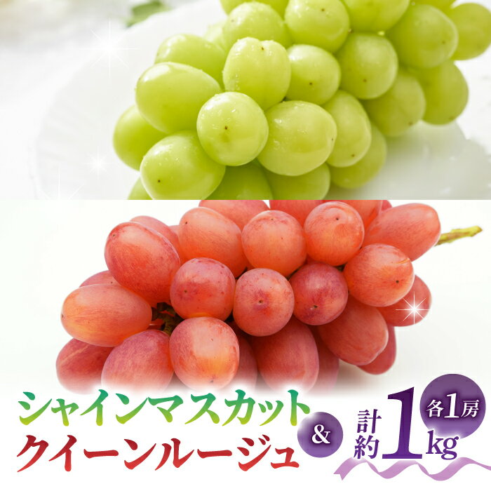 【先行受付2026年発送】【さとのみ果樹園】シャインマスカット＆クイーンルージュ(R)各1房（計1kg以上）※2026年9月中旬～10月中旬順次発送