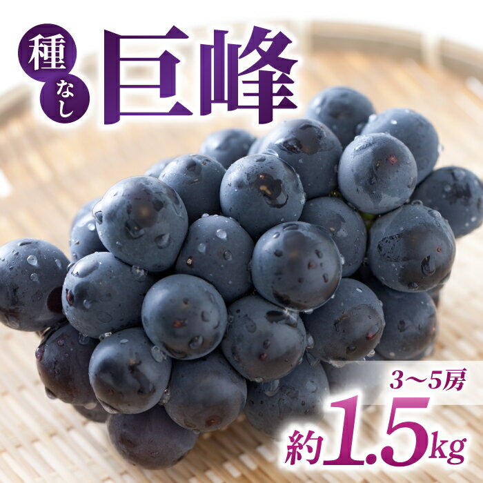【先行受付2026年発送】【さとのみ果樹園】新鮮！種なし巨峰　約1.5kg（3～5房）※2026年9月上旬～10月上旬順次発送
