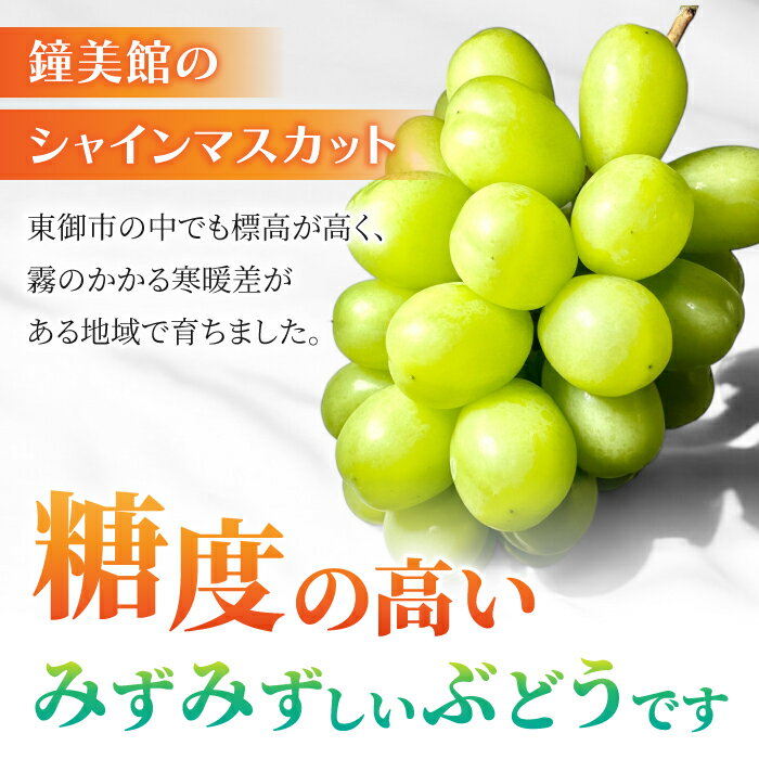 【ふるさと納税】【鐘美館】標高750mで育ったシャインマスカット ※2025年9月中旬以降順次発送 サムネイル3