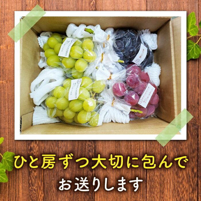 【ふるさと納税】2026年先行受付【若林農園】シャインマスカットと旬の3種のぶどう詰め合わせセット 約2kg｜シャインマスカット、クイーンニーナ、クイーンルージュ(R)、シナノスマイル、種なし巨峰、ナガノパープル、雄宝など 3～5房(3種)※2026年9月中旬～10月中旬順次発送 サムネイル3