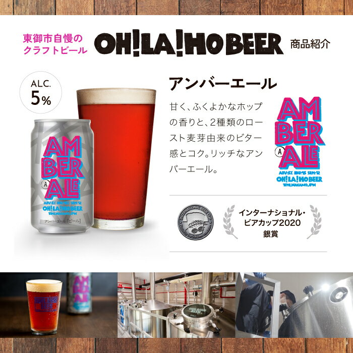 【ふるさと納税】【6回定期便】クラフトビール アンバーエール 10本セット オラホビール お酒 おしゃれ 地ビール ギフト 美味しい 国産 長野県東御市 サムネイル3