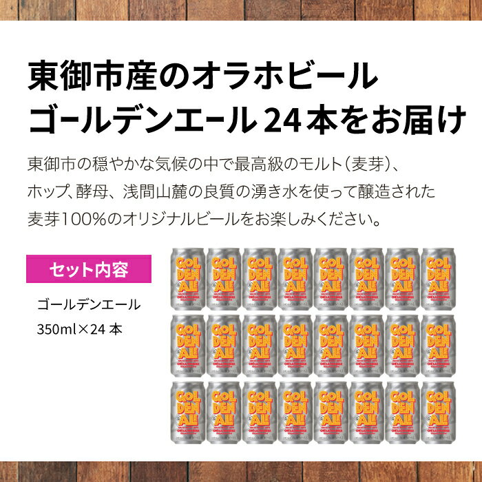 【ふるさと納税】【オラホビール】クラフトビール ゴールデンエール 24本セット お酒 おしゃれ 地ビール ギフト プレゼント お歳暮 お中元 父の日 美味しい 国産 長野県東御市 サムネイル2