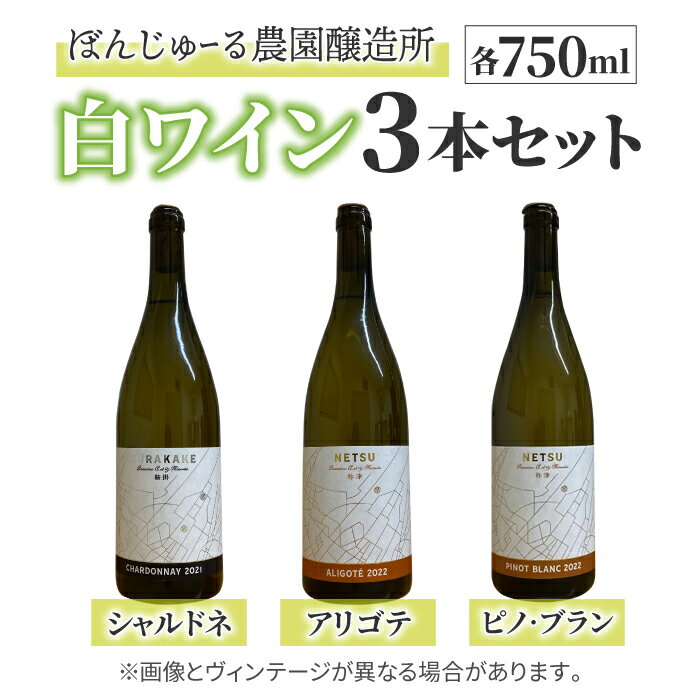【ぼんじゅーる農園醸造所】人気の白ワイン3本セット（鞍掛シャルドネ、祢津アリゴテ、祢津ピノ・ブラン）| 国産 長野県 お酒