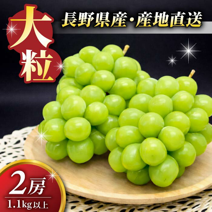 【先行受付2026年発送】シャインマスカット2房【9月中旬以降お届け】 長野県 長野 東御 人気 ぶどう 贈答用 ギフト 2房 フルーツ 果物 おすすめ 厳選 種無し 皮ごと 大粒