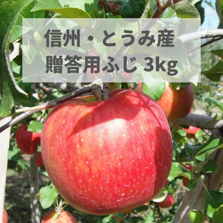東御市産りんご 約3kg（ふじ） ※11月下旬～12月中旬頃に順次発送予定