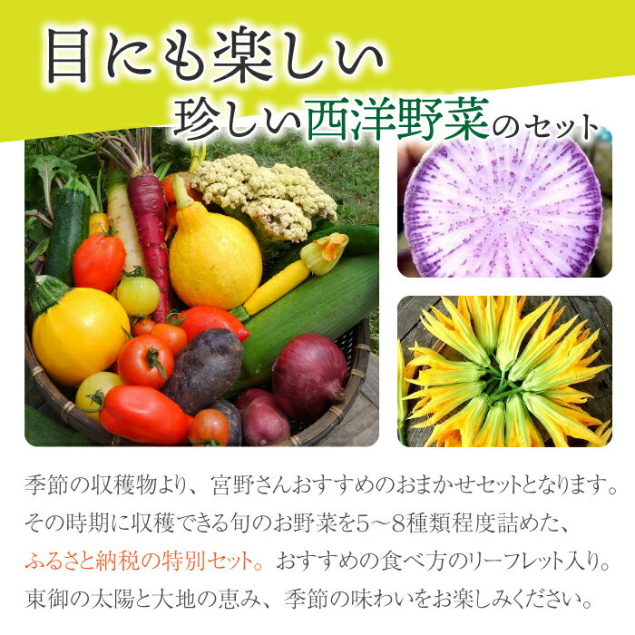 【ふるさと納税】【アグロノーム】季節のお野菜セット（お一人様向け）｜5〜8種類の野菜詰め合わせ - 画像3