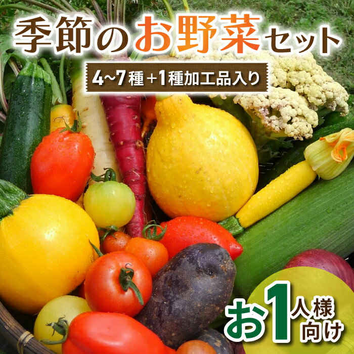 季節のお試しお野菜セット（お一人様向け） アグロノーム 西洋野菜
