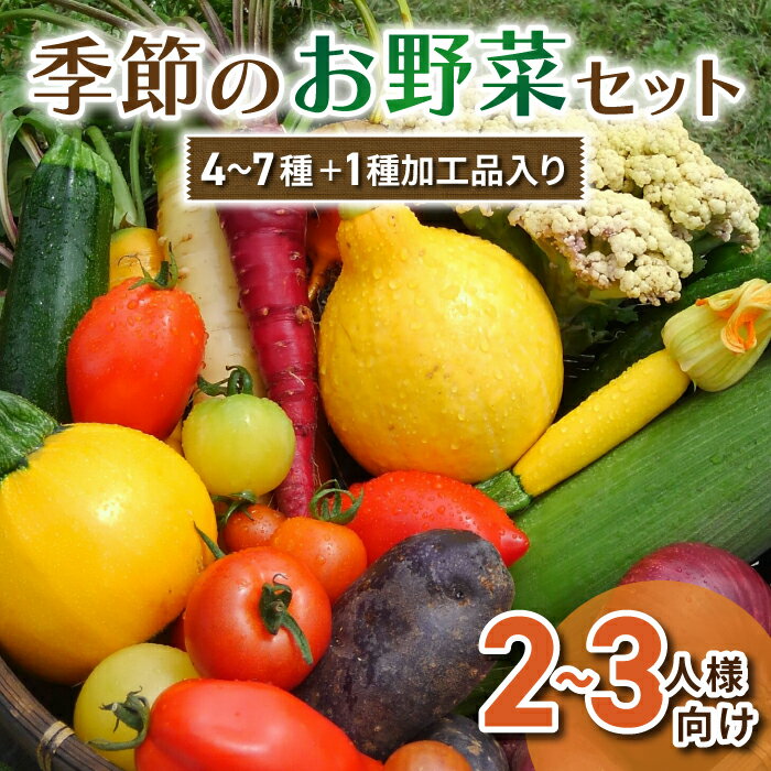 季節のお野菜セット（2～3人様向け） アグロノーム 西洋野菜※2024年7月以降発送開始
