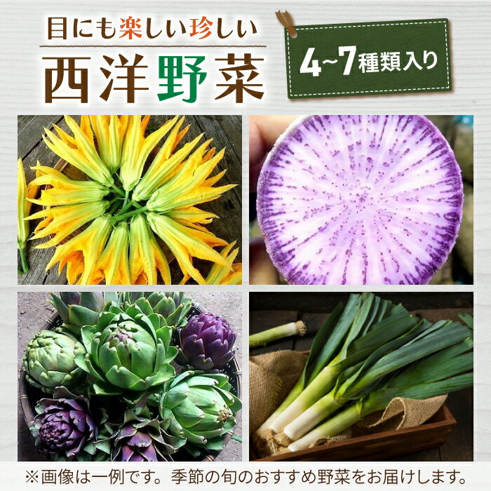 【ふるさと納税】季節のお試しお野菜セット（お一人様向け） アグロノーム 西洋野菜 - 画像2
