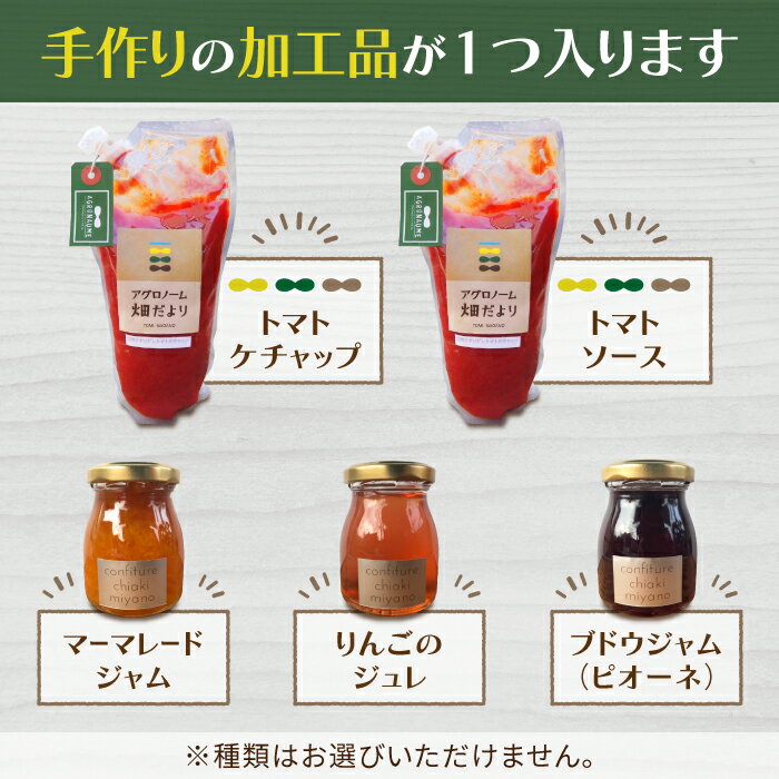 【ふるさと納税】季節のお試しお野菜セット（お一人様向け） アグロノーム 西洋野菜 - 画像3