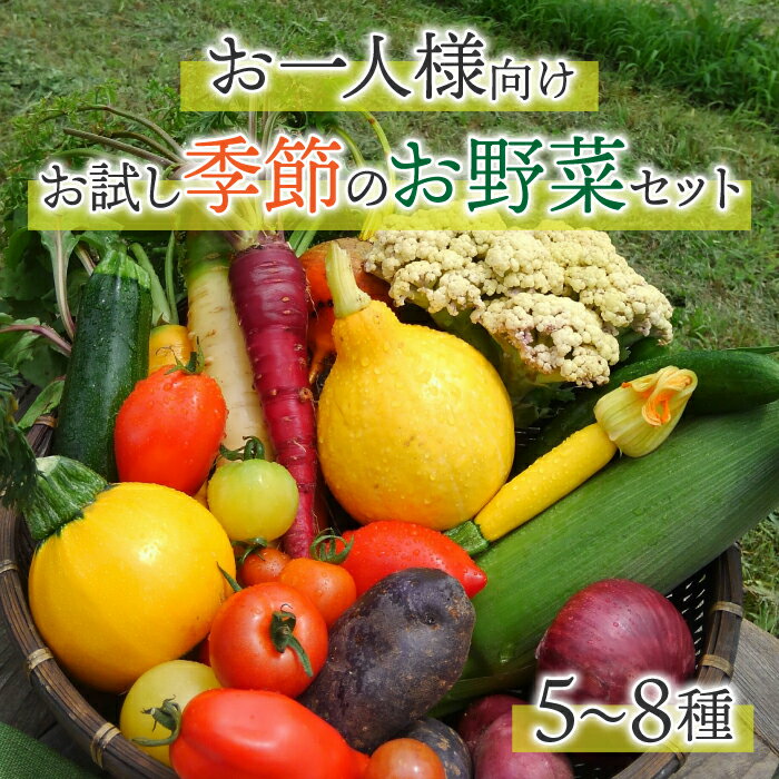 【アグロノーム】季節のお野菜セット（お一人様向け）｜5〜8種類の野菜詰め合わせ