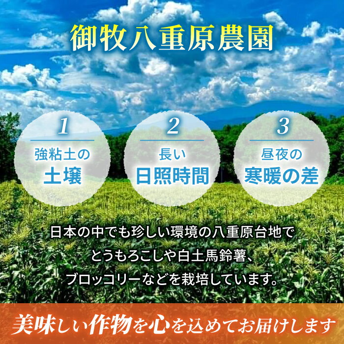 【ふるさと納税】【先行受付2026年発送】野菜ソムリエサミット金賞受賞！東御市産とうもろこし（ゴールドラッシュ）約3.2kg（7～10本）｜スイートコーン ※2026年7月上旬～9月中旬頃に順次発送予定※着日指定不可 - 画像3