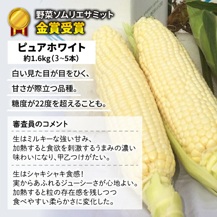 【ふるさと納税】【先行受付2026年発送】野菜ソムリエサミット金賞受賞！東御市産とうもろこし（ピュアホワイト・ゴールドラッシュ）約3.2kg（7～10本）｜スイートコーン ※2026年7月上旬～9月上旬に順次発送予定※着日指定不可 - 画像3