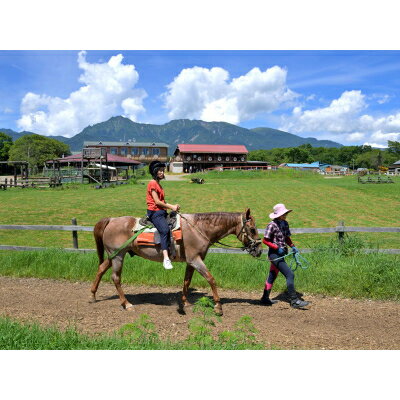 【ふるさと納税】【長野県野辺山高原】滝沢牧場の手作りアイスクリーム　120ml×12個入【配送不可地域：離島】【1262873】 - 画像2