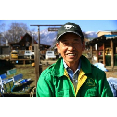 【ふるさと納税】【長野県野辺山高原】滝沢牧場の手作りアイスクリーム　120ml×12個入【配送不可地域：離島】【1262873】 - 画像3