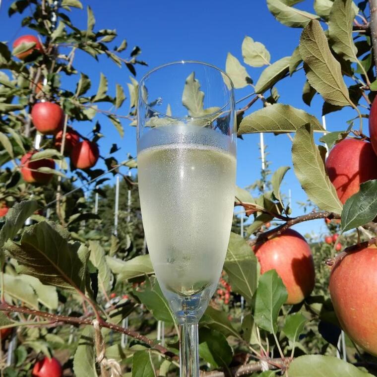 【ふるさと納税】りんごやSUDA　Sakuho Terroir Le Pomme du Mousse　シードル2本入りギフトBOX【限定40箱　りんごのスパークリングワイン（辛口）　750ml×2本セット 】[RS-102] サムネイル2