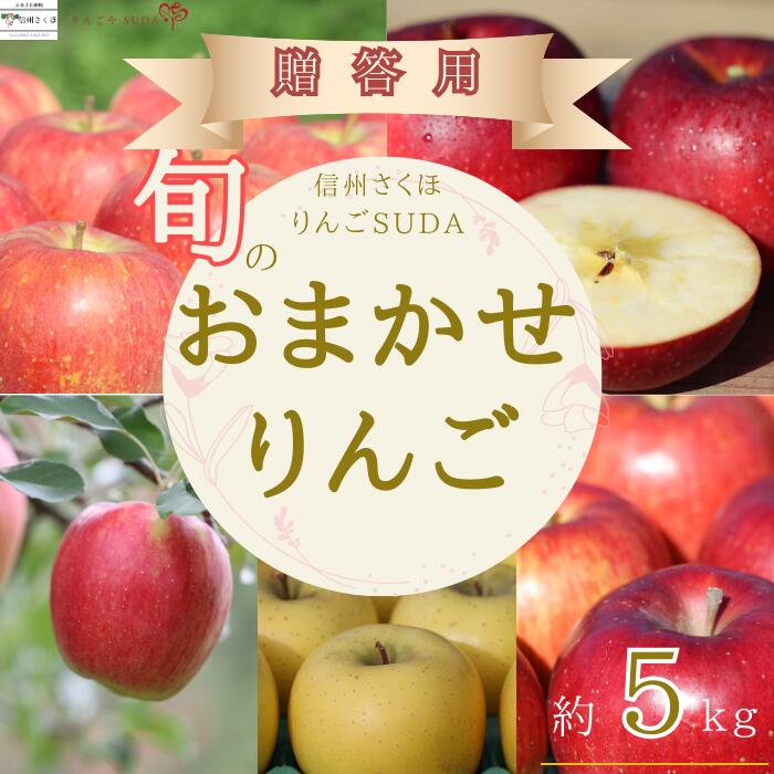 農園にお任せ旬のリンゴ 5kg入り贈答箱【限定品】〔RS-04〕