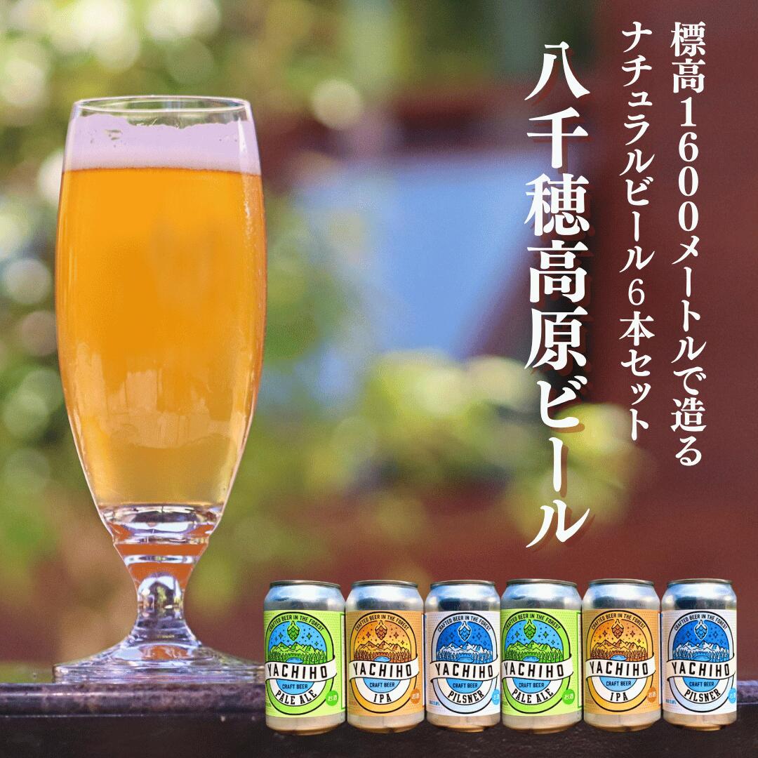 高原の湧水でつくるクラフトビール　八千穂高原ビール　350ml×6本セット（3種×2本）[YB-102]