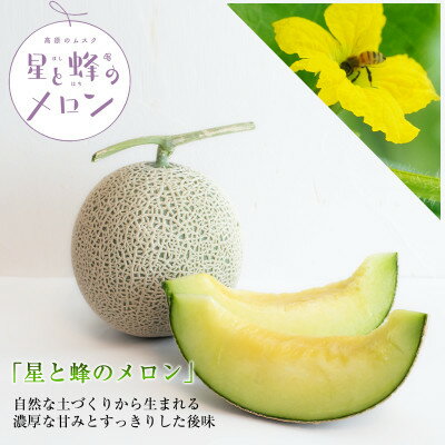 【令和8年度産先行予約】星と蜂のメロン　Lサイズ2玉【配送不可地域：離島】【1099062】