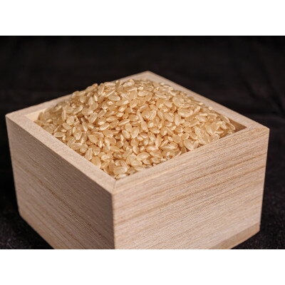 【ふるさと納税】荻原くん家のお米　玄米　5kg　R7年御代田町産　ミネラル肥料使用【1703417】 - 画像3