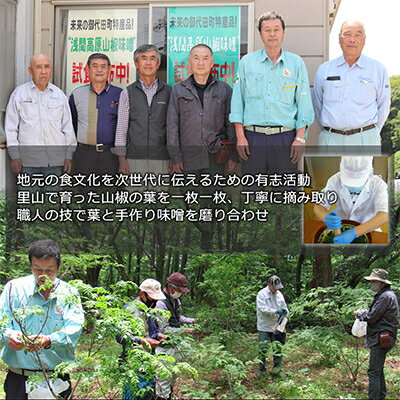 【ふるさと納税】浅間高原 山椒 味噌 200g 自然発酵の手作り高級信州みそ 長野の健康食品調味料【配送不可地域：離島】【1131190】 サムネイル2