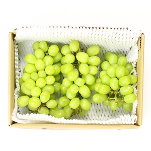 青木村産ぶどう（シャインマスカット2kg）