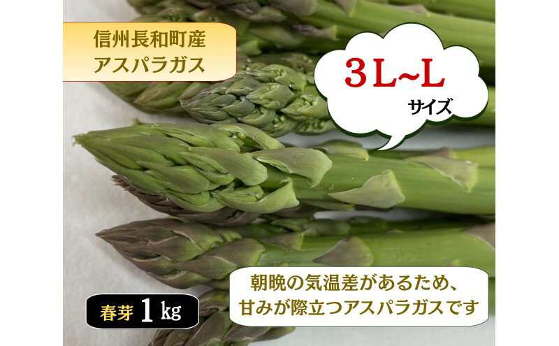 【ふるさと納税】グリーンアスパラガス詰め合わせ 太めの2Lサイズ 約1kg 野菜 野菜セット 　お届け：2026年4月上旬～5月下旬 - 画像2