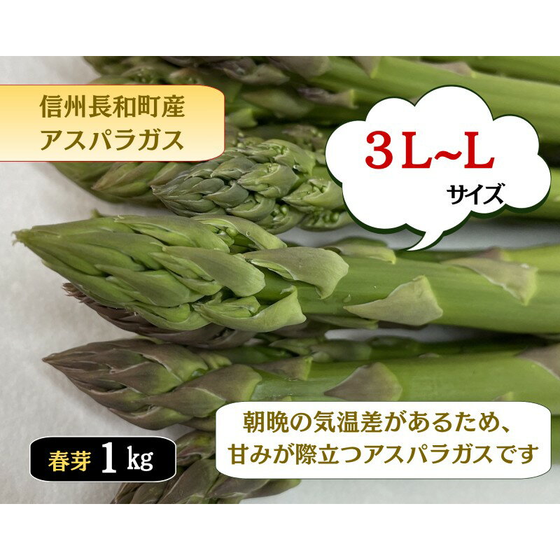 グリーンアスパラガス詰め合わせ 太めの2Lサイズ 約1kg 野菜 野菜セット 　お届け：2026年4月上旬～5月下旬