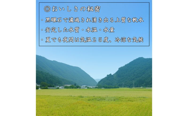 【ふるさと納税】【先行受付】令和8年産 コシヒカリ10キロ(5kg×2袋) 天然の軟水「黒耀水」育ちのお米 長野県長和町産 農家直送 一等米精白米　お届け：2026年11月2日～30日まで - 画像3