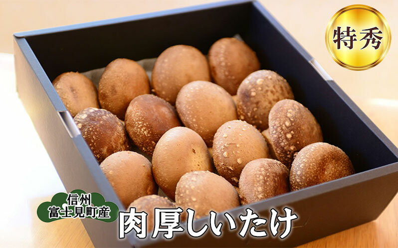 【ふるさと納税】【特秀】純国産　肉厚しいたけ　【野菜・きのこ・しいたけ・椎茸・シイタケ・肉厚】 - 画像2