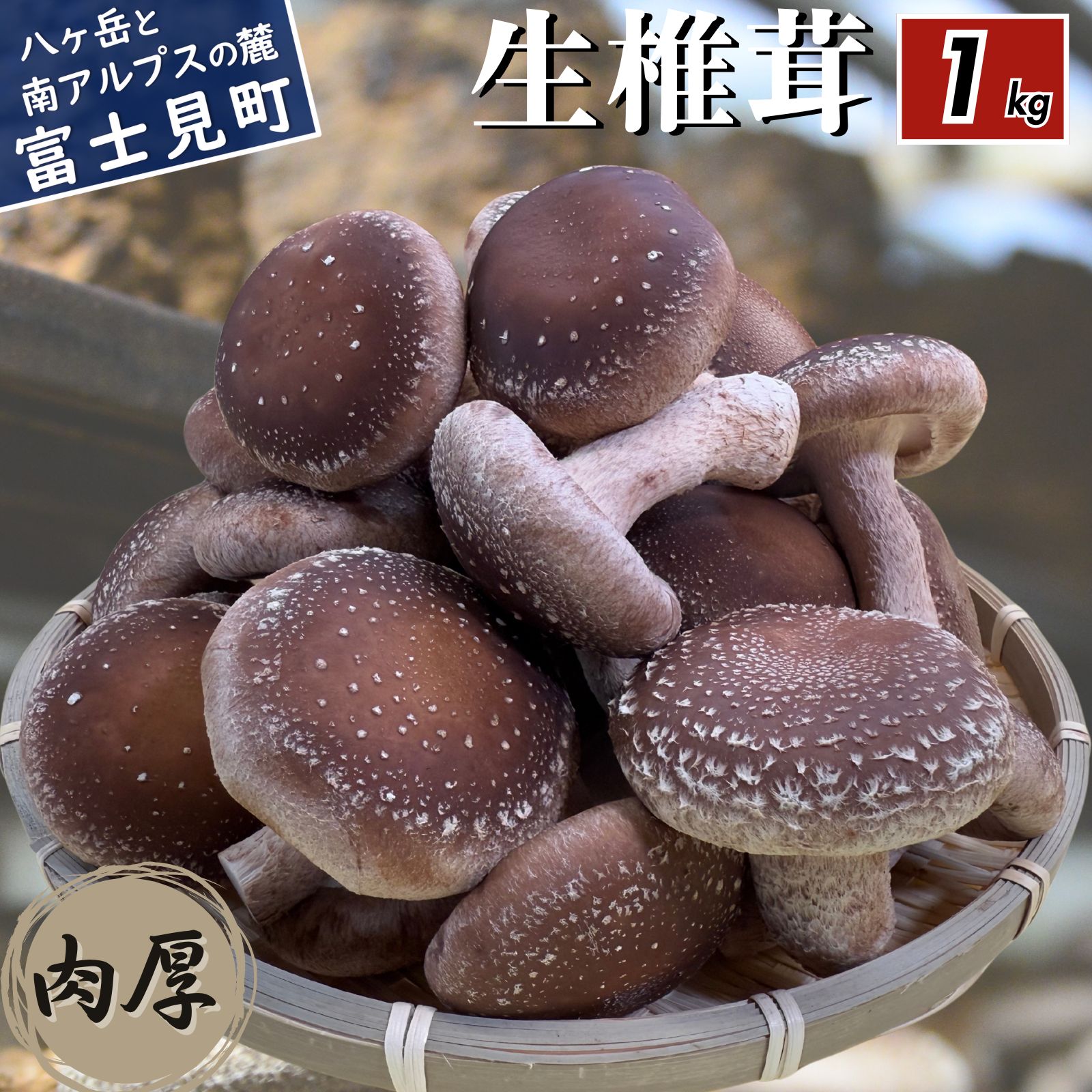 肉厚 生しいたけ 1kg 八ヶ岳山麓育ち 国産 朝採れ 安心安全 農薬不使用 ハウス栽培 芳醇な香り 椎茸 信州 送料無料