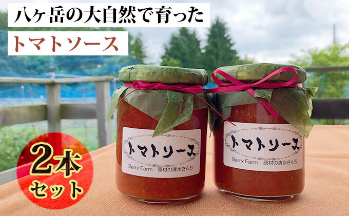 【ふるさと納税】八ヶ岳の大自然で育ったトマトソース2本セット 野菜加工品 サムネイル2