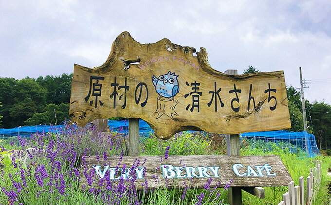 【ふるさと納税】八ヶ岳の大自然で育ったトマトソース2本セット 野菜加工品 サムネイル3